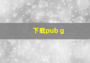 下载pub g